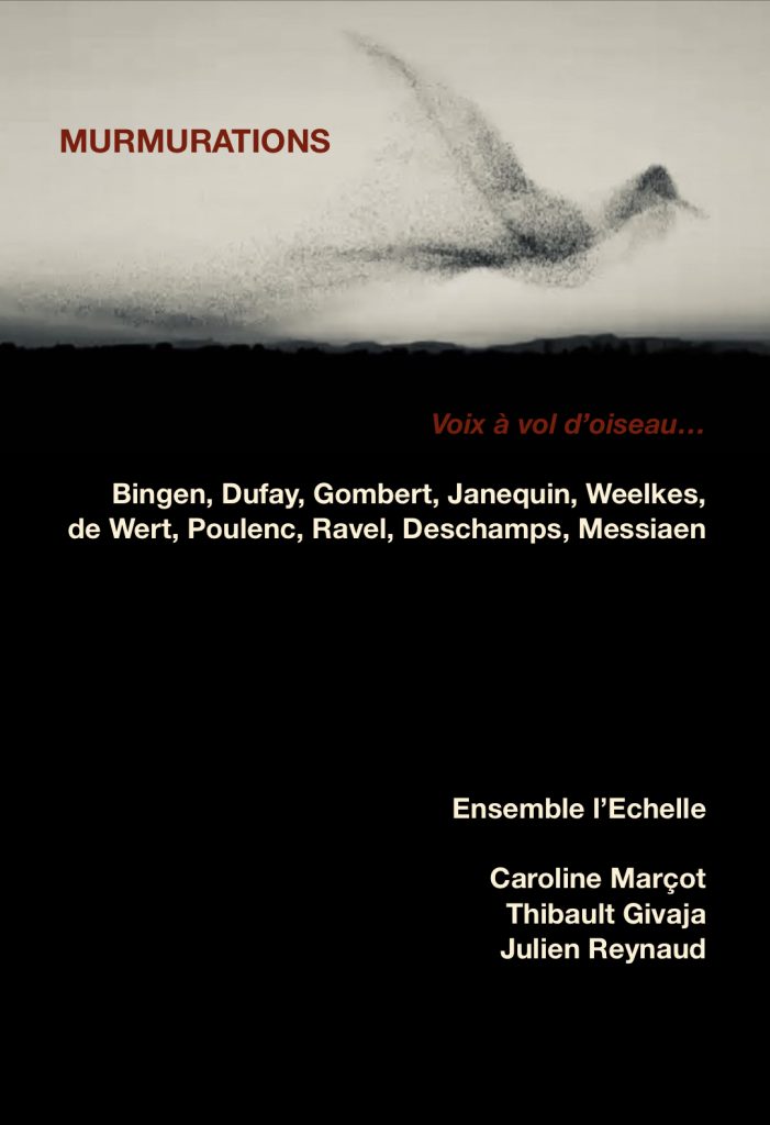 oiseaux, murmuration, 