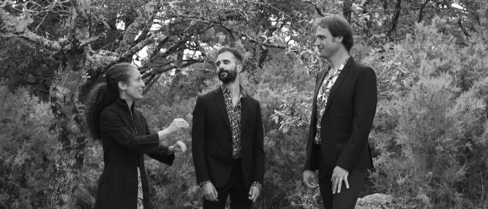 Ensemble Echelle en formation trio Ensemble Echelle en formation trio