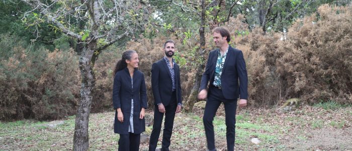 Ensemble Echelle en formation trio Ensemble Echelle en formation trio